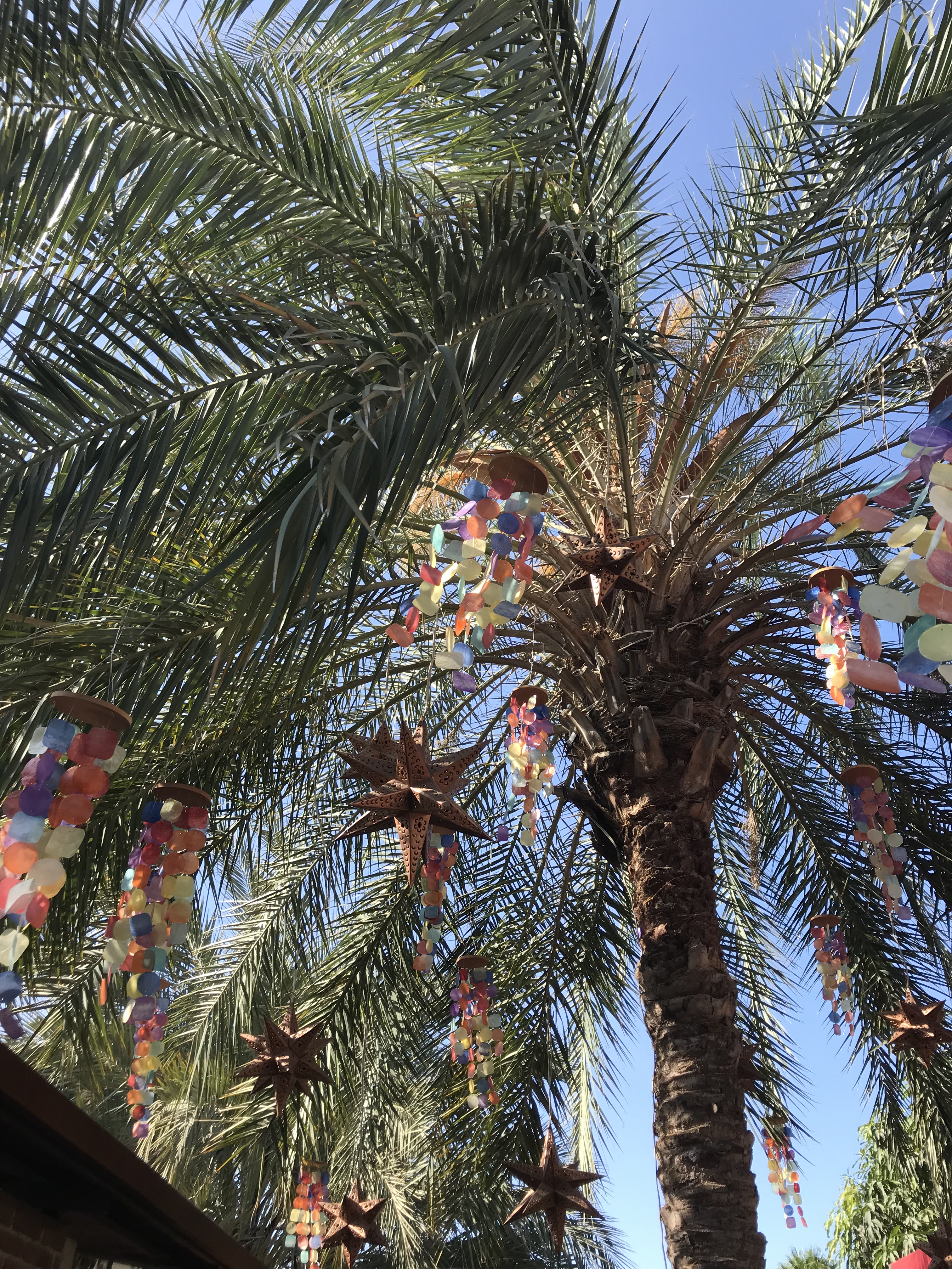 E0DCC550-8200-4BC1-8039-4370B1D011DC